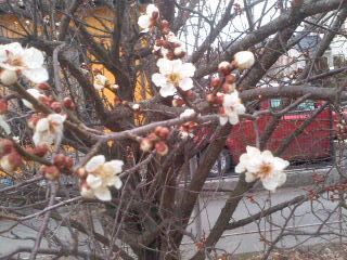 150308_1736~01.jpg
