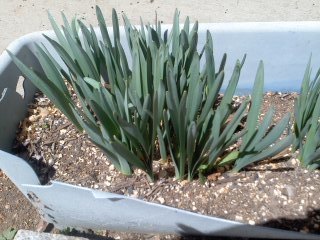 150317_1112~01.jpg
