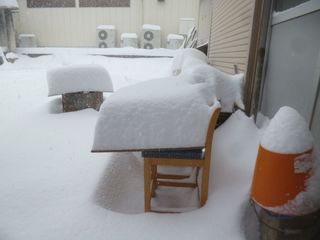 すごい雪.jpg