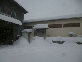 またまた すごい雪.jpg